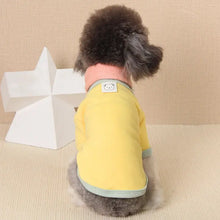 Pet Dog Sweater with Matching Scarf, Winter Warm Clothes, Cold Weather Coat for Dog and Cat